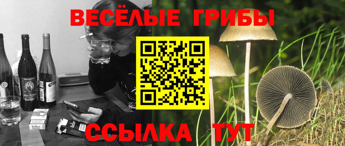 Галлюциногенные грибы Cubensis  Вход с VPN  Кандалакша 